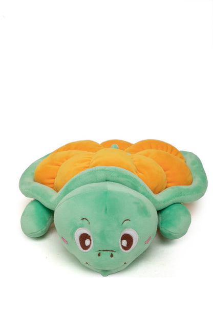 Pumpkin The Playful Turtle